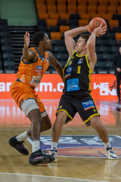 大罗退出巴 大罗退出巴