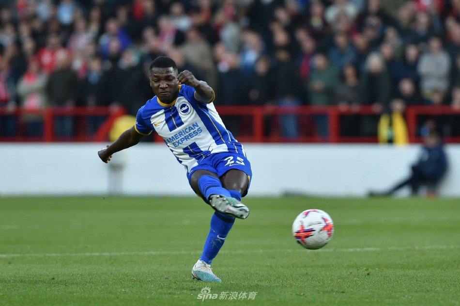 市场上的雄 市场上的雄